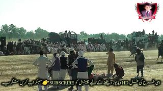 #febspot#foryou #foryoupage#horses#ridings#vedio61#ahmad#nasir#sports