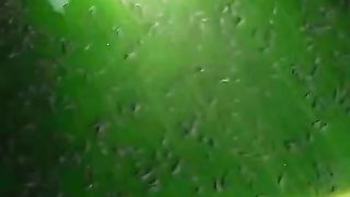 Apa fungsi daun pisang dikolam LARVA LELE menurut kalian❓