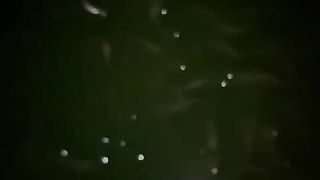Tebar bibit lele ukuran 2-3cm panen ukuran 5-7cm itulah segmen pendederan
