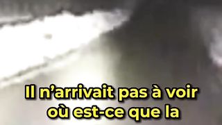 Intelligence animale