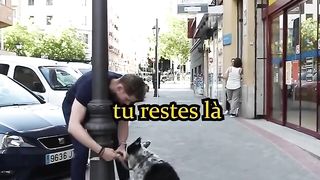 Animaux 6
