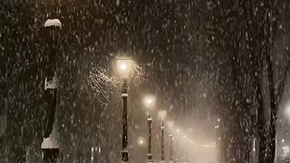 December 2