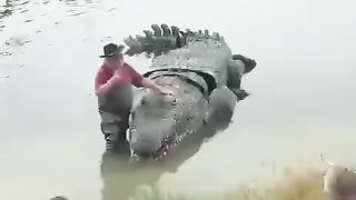 Big corokadel