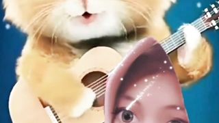 Orange Kitten Learns to Play Guitar and Sing