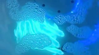 Scientists in Taiwan added jellyfish genes to carp fish DNA resulting in glowing fish
