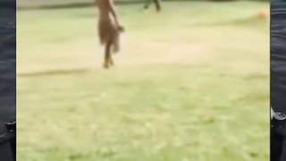 Random video part 1