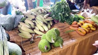 [????????????????]Special daily life of Koreans in the Philippine Province[tropical fruits]