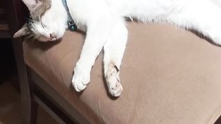 Pingsan atau tidur?