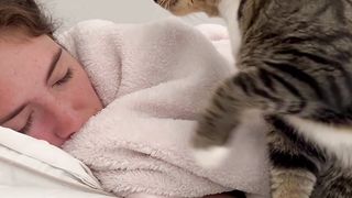 Cat waking up it's master