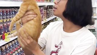 Bring cat find faveroit meal at shop