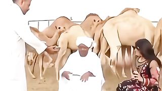 People VS animals