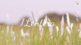 Lentera-Lesti