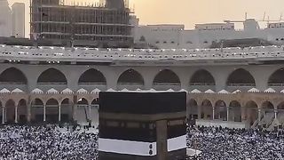 video 291