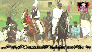 #febspot#foryou #foryoupage#horses#ridings#vedio62#ahmad#nasir#sports#fyb