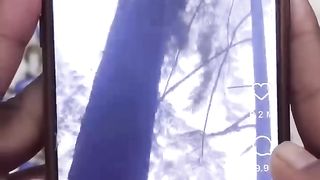 save the tree ????????