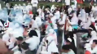 indonesia free palestine