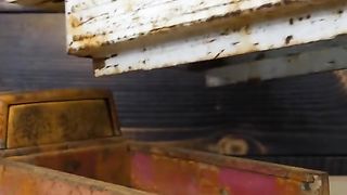 Amazing videos vol 5