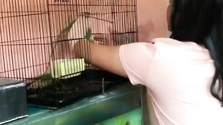 Potong Kuku Iguana