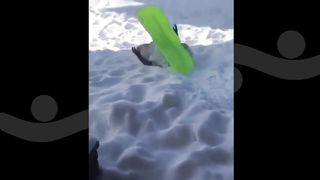 The end :D :D #funnyvideo #shortvideo #uniquevideo