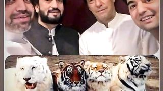 Imran Khan fire