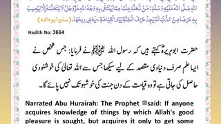اسلامی معلومات Like share follow 145