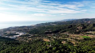 "Unveiling Eden: A Visual Journey into Nature's Sanctuary"