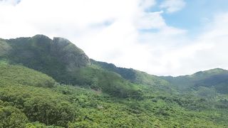 "Awakening Wilderness: A Cinematic Tale of Nature's Resilience"