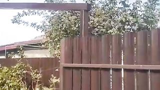Мои работы 2