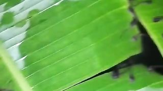 PASTA memang bisa untuk pakan LARVA LELE tapi larva lele kurang pakan cacing sutera juga kurang bagus