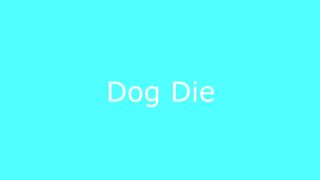 Top 5 Dog #funnypets143