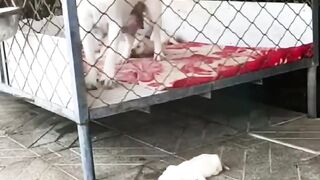 Những Clip Triệu View TopTop