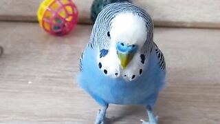 ПРОСТО МУЖЧИНА