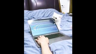 Fanny Dogs And Cats