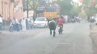 Panik Hanya Bisa Pasrah Pemotor ini Dikejar Banteng