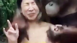 funny monkey