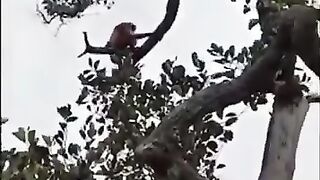 Ketika kamu begadang tapi bangun pagi