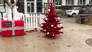 Viemos pro natal da França