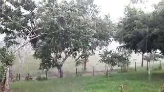 A chuva não está parando ???? 14 dias