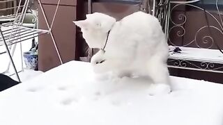 С первым снегом❄️