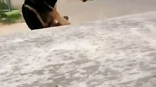 Animal funny video part 1