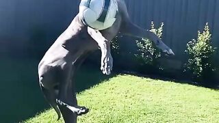 Com a bola toda!!