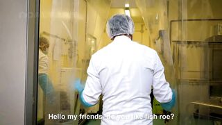 How Sturgeon Caviar Is Farmed and Processed - How it made Caviar - Sturgeon Caviar Farm