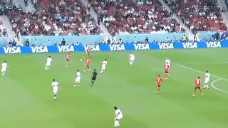 Viva morroco