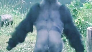 Gorilla running in the rain ????