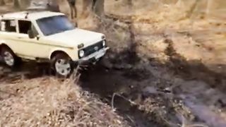 Ниви боксує по болоті