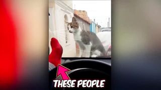 INSTANT KARMA ! 2