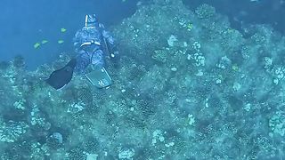 Spearfishing Rare Deep Water Fish in Hawaii