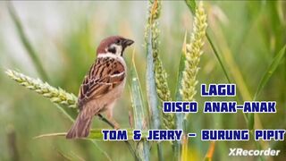 Tom Dan Jerry - Burung Pipit