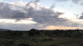 "Symphony of Nature: A Sensory Journey Through the Marvels of the Natural World"