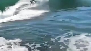 Amazing videos 36